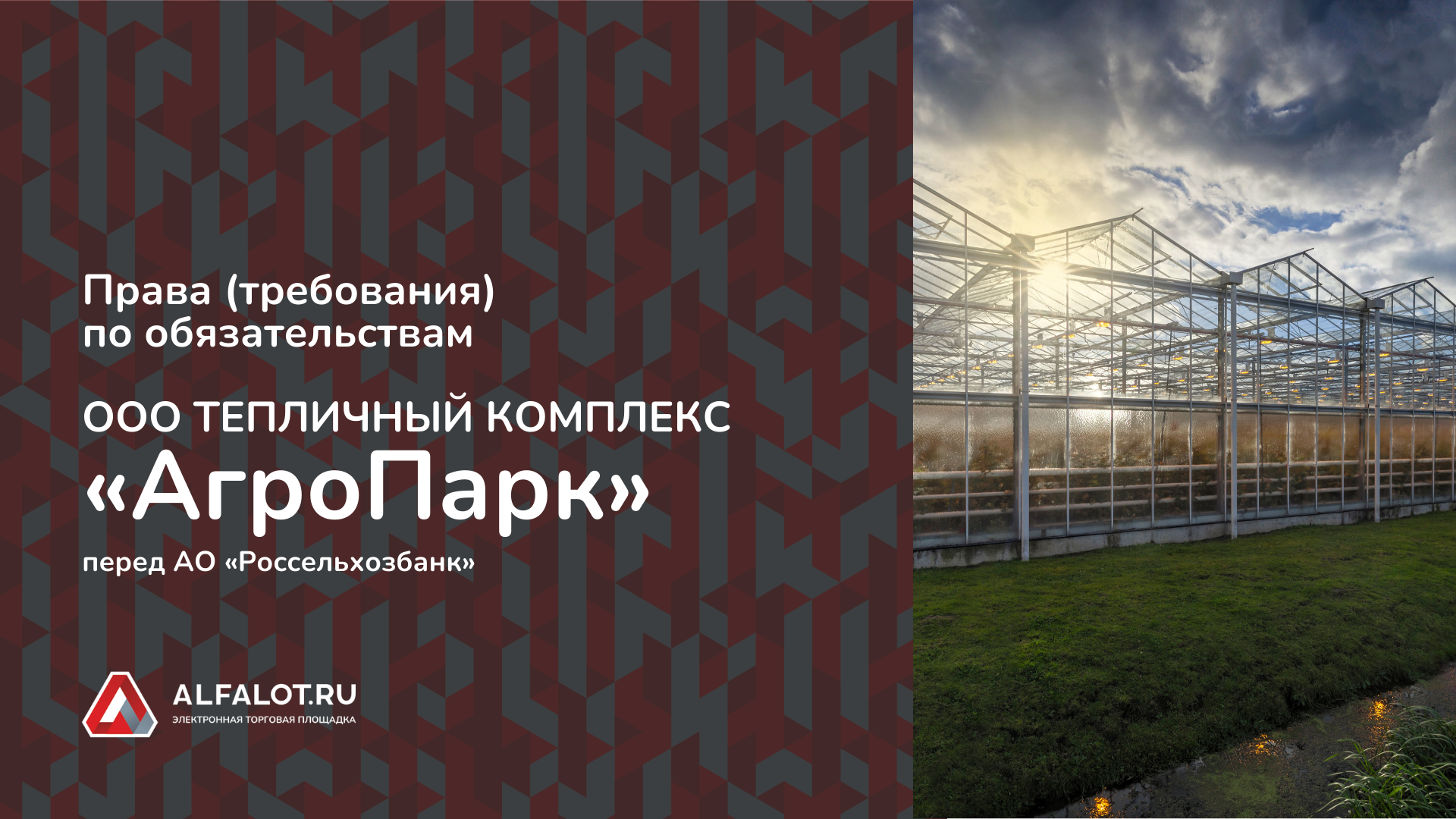 Лот продажи 0020624002DS.lot1