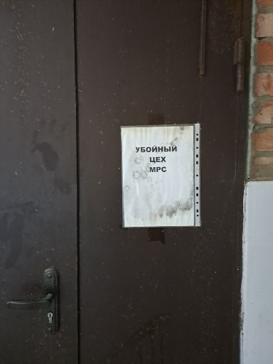430.jpg