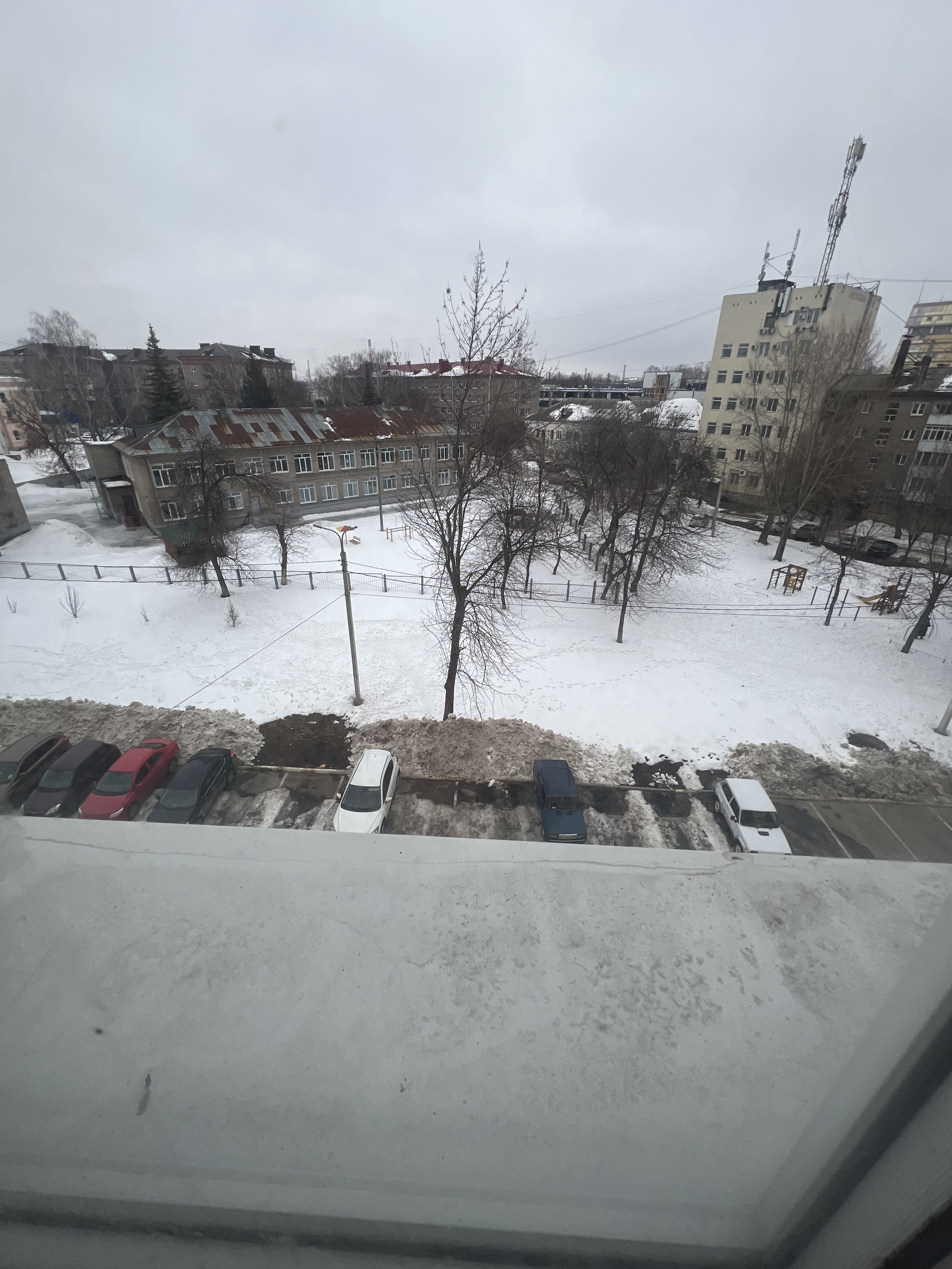 IMG_9331.jpeg