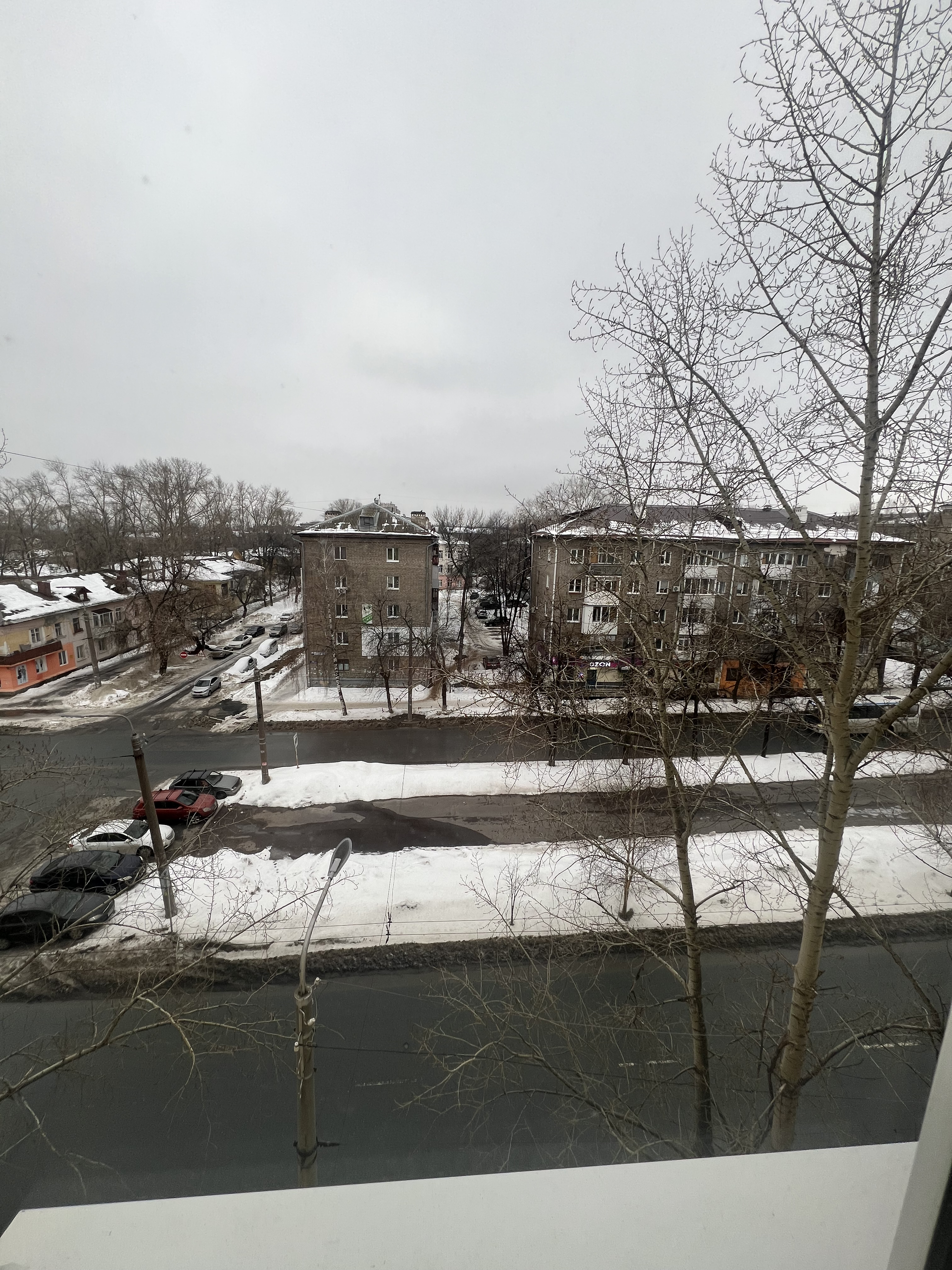 IMG_9342.jpeg
