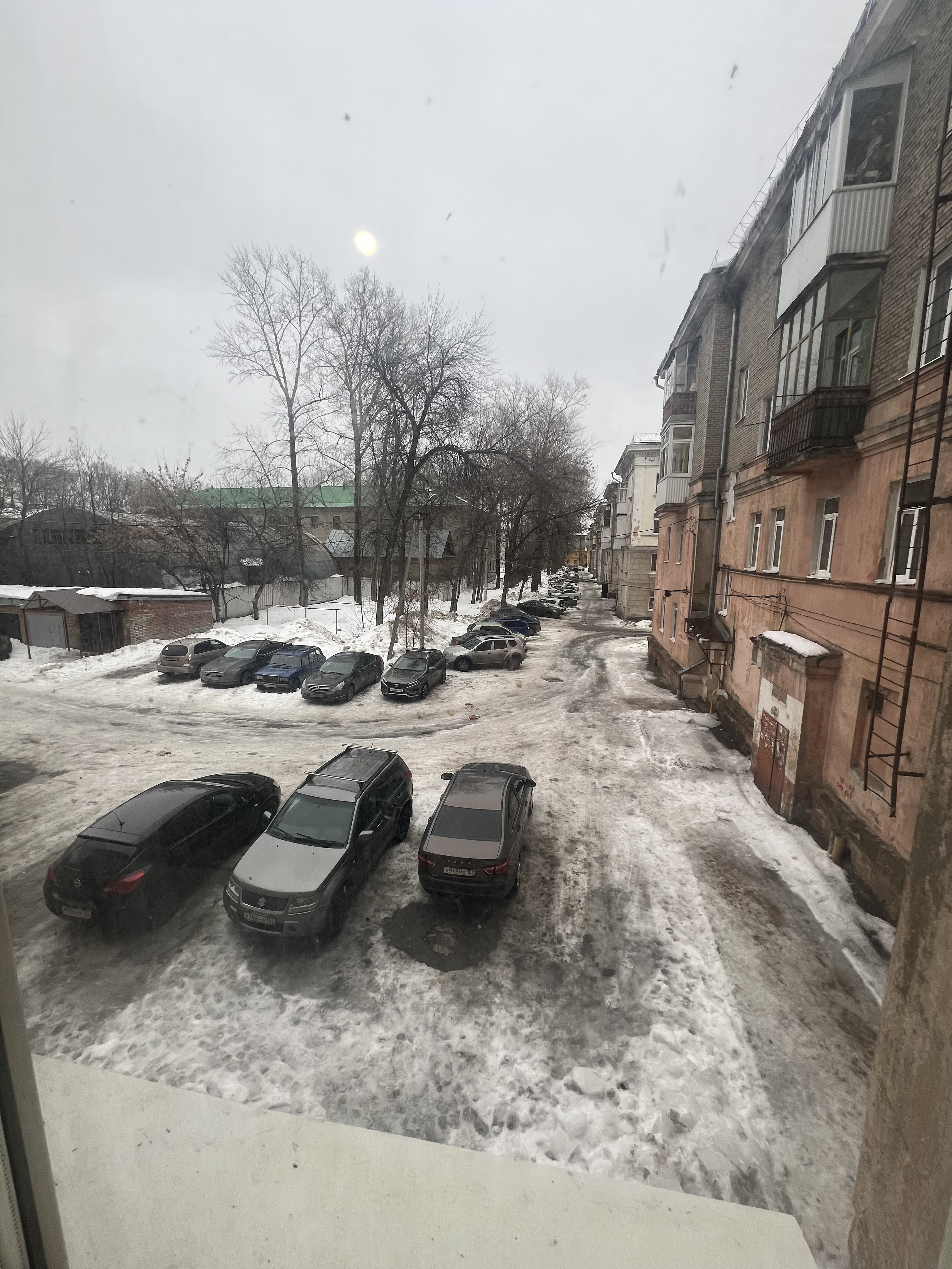 IMG_9310.jpeg