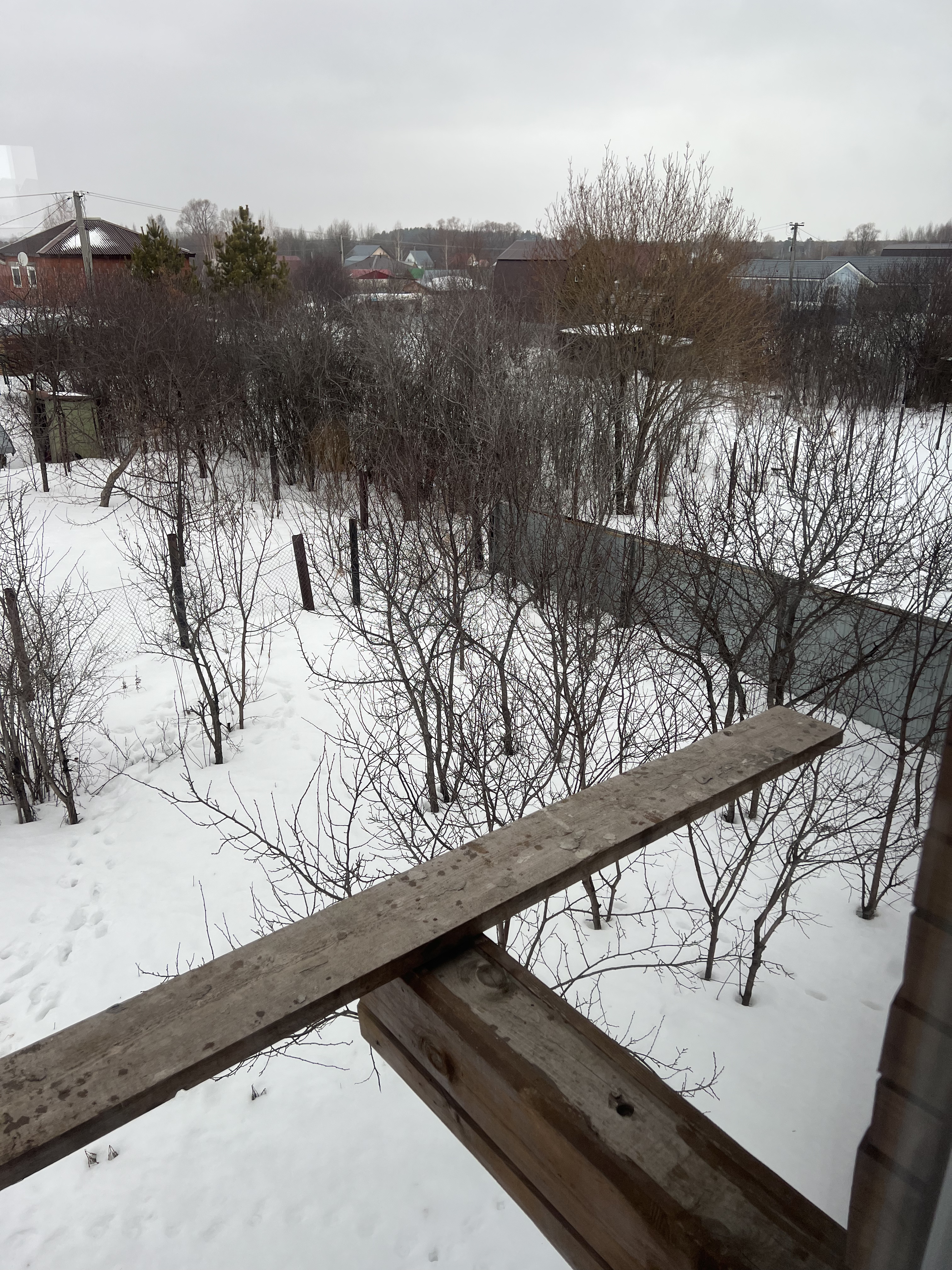 IMG_9350.jpeg