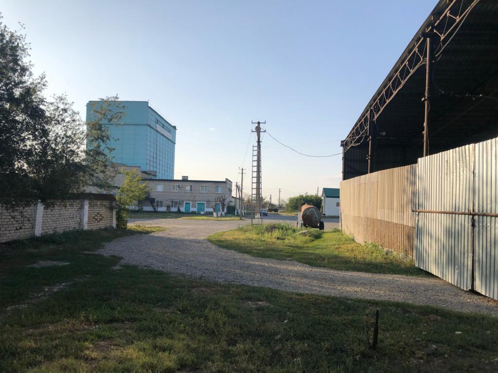 WhatsApp Image 2025-05-29 at 11.12.12(7).jpeg