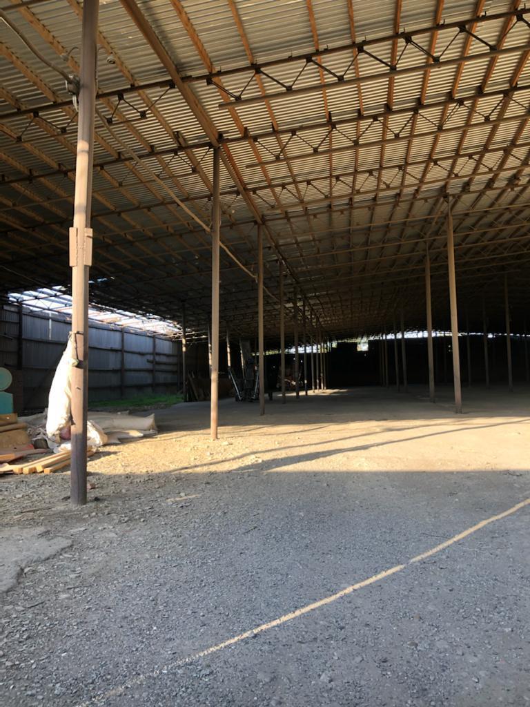 WhatsApp Image 2025-05-29 at 11.12.12(6).jpeg