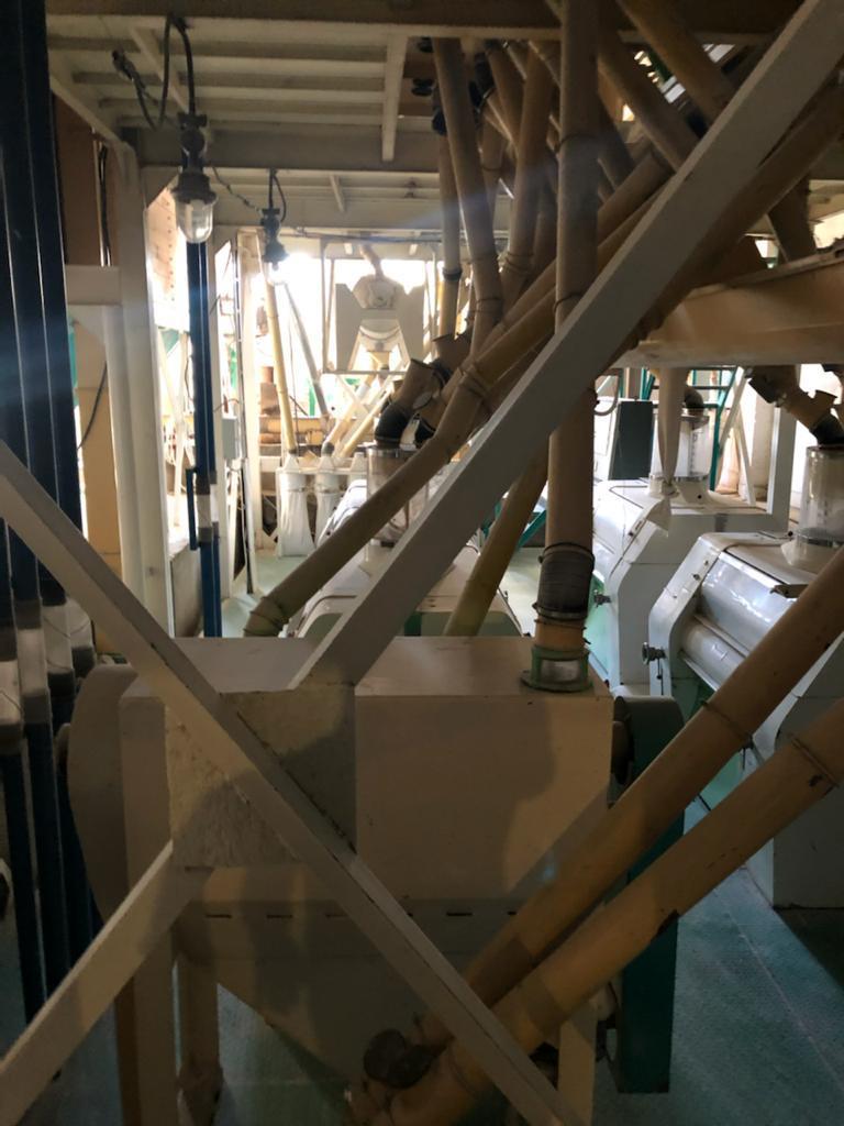 WhatsApp Image 2025-05-29 at 11.12.12(3).jpeg