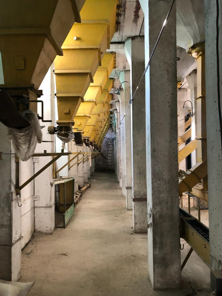 WhatsApp Image 2025-05-29 at 11.12.11(8).jpeg