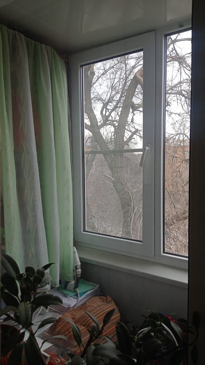 WhatsApp Image 2024-12-15 at 12.29.16.jpeg