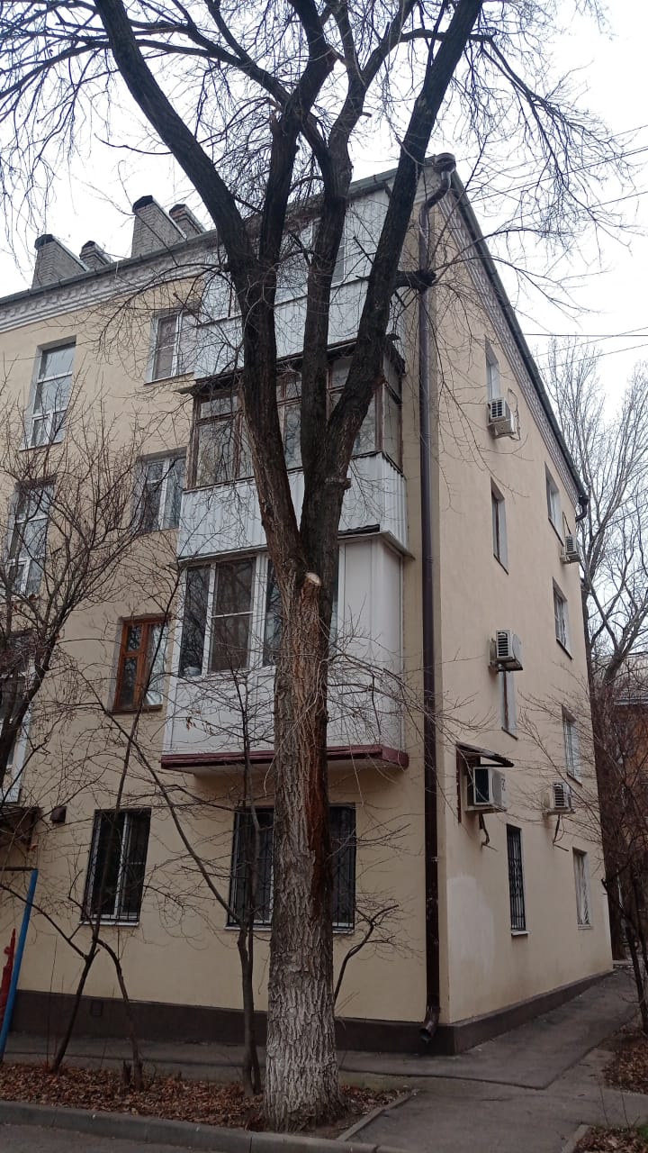 WhatsApp Image 2024-12-15 at 14.55.13.jpeg