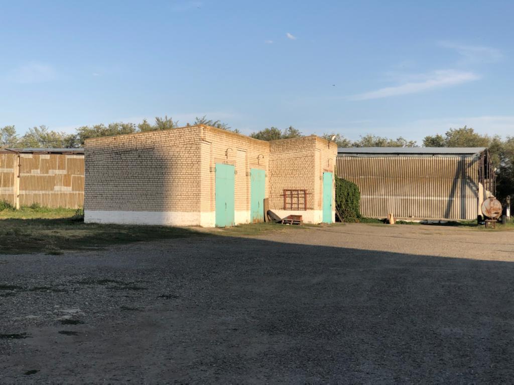 WhatsApp Image 2025-05-29 at 11.12.11(1).jpeg