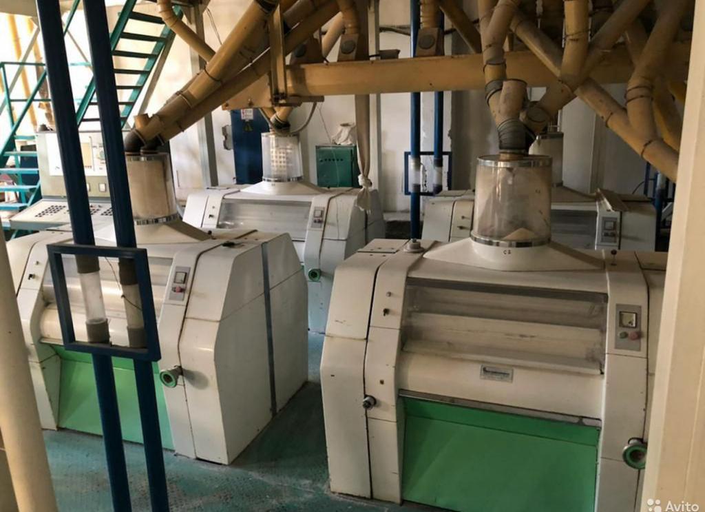 WhatsApp Image 2025-05-29 at 11.12.11.jpeg