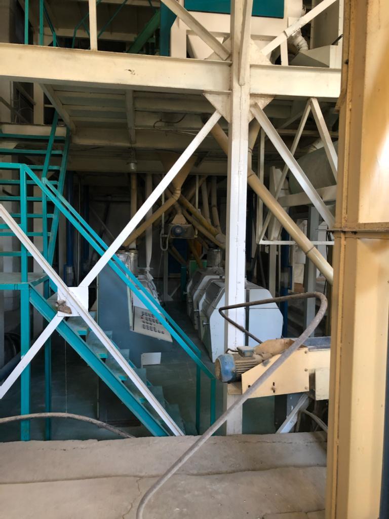 WhatsApp Image 2025-05-29 at 11.12.12(4).jpeg