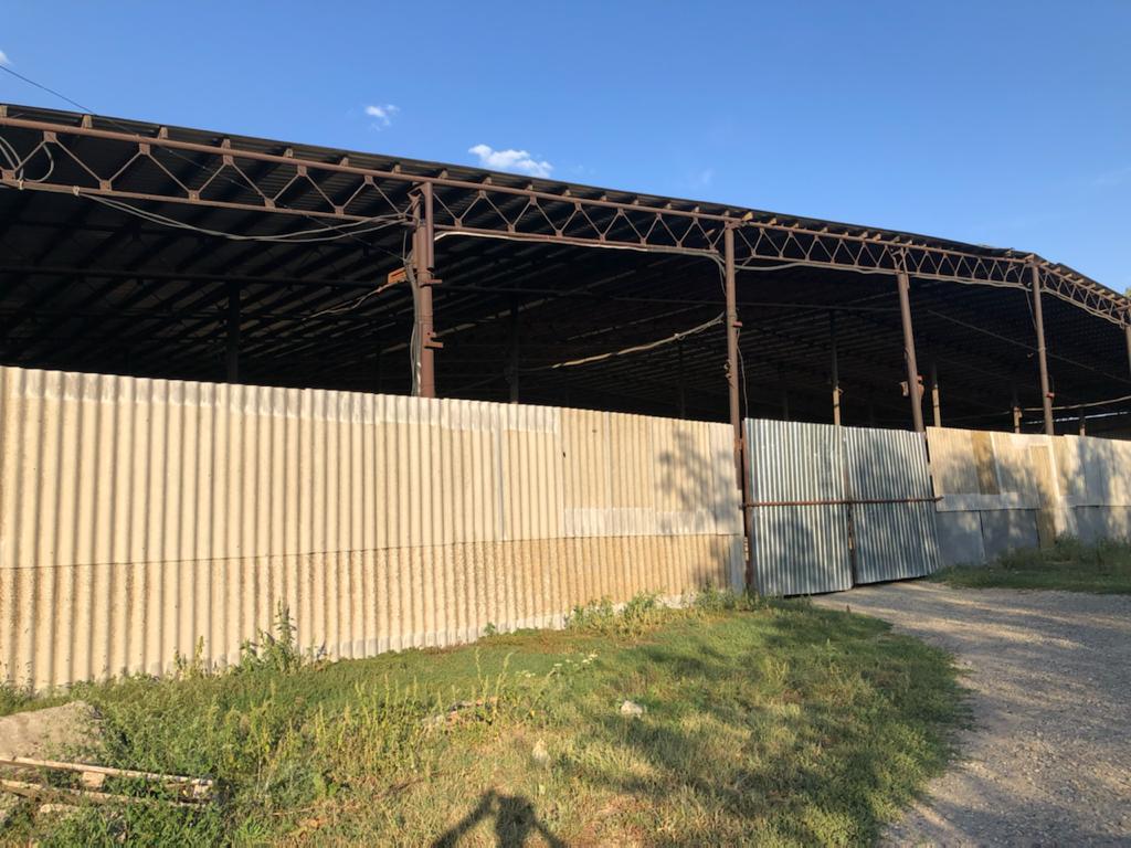 WhatsApp Image 2025-05-29 at 11.12.12(8).jpeg