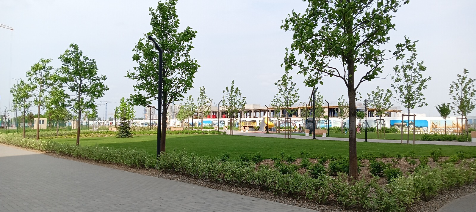 WhatsApp Image 2024-10-07 at 13.45.56(14).jpeg