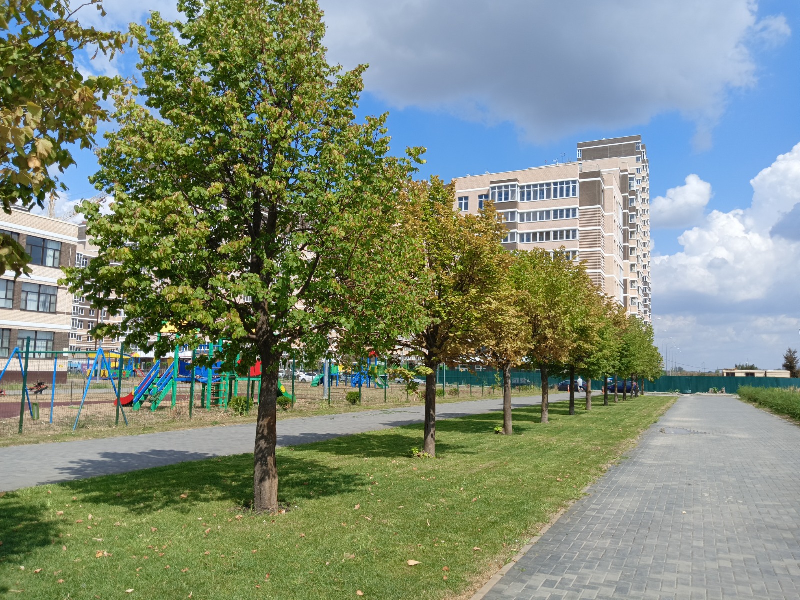 WhatsApp Image 2024-10-07 at 13.45.56(31).jpeg