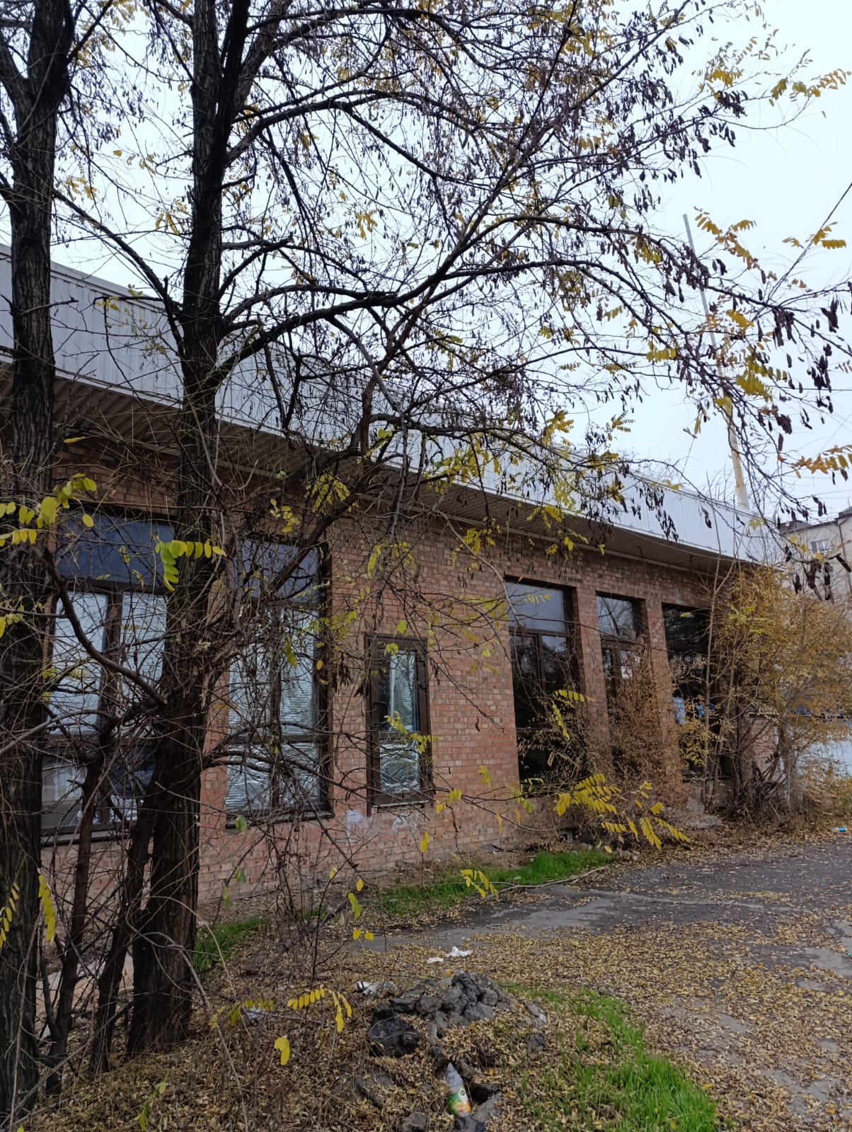 Фото2025-11-23 at 21.56.04.jpeg