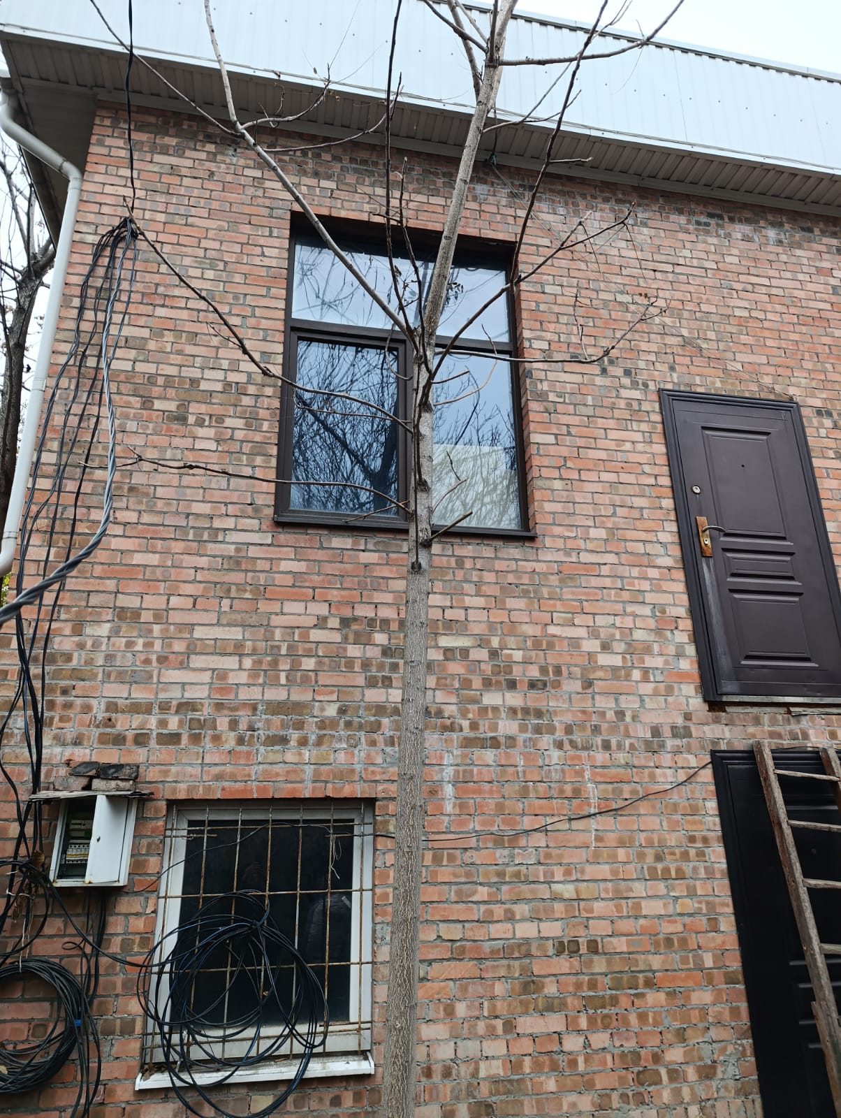 Фото 2025-11-23 at 21.55.59.jpeg